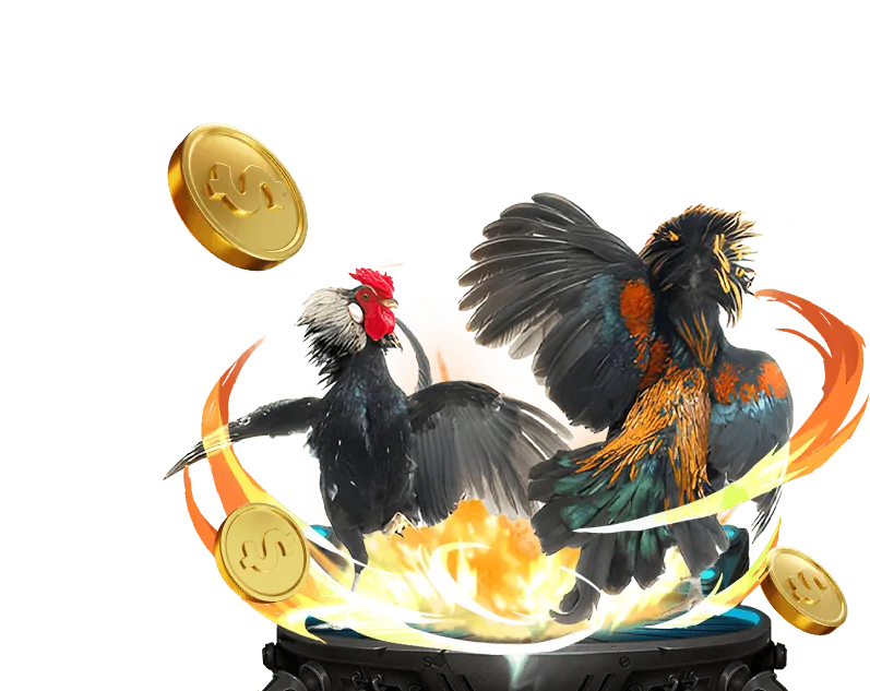 Livestream HD Đá Gà Trực Tiếp